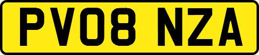 PV08NZA
