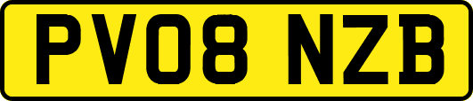 PV08NZB