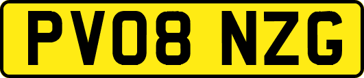 PV08NZG