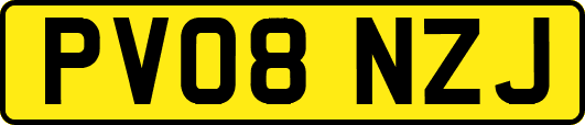 PV08NZJ