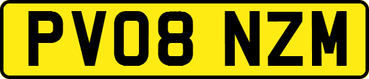 PV08NZM