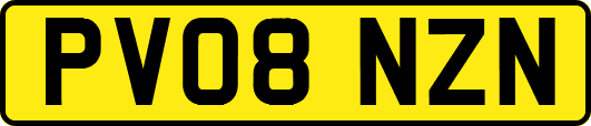 PV08NZN