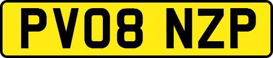 PV08NZP