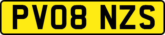 PV08NZS