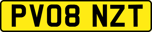PV08NZT