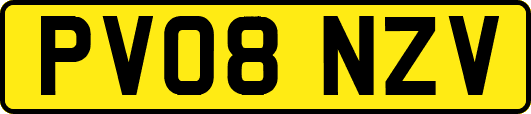 PV08NZV