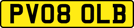 PV08OLB