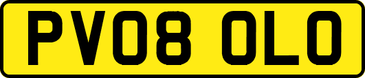 PV08OLO