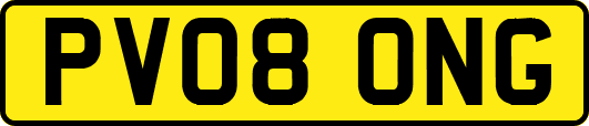PV08ONG