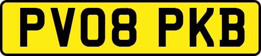 PV08PKB