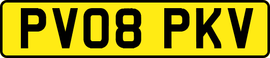 PV08PKV