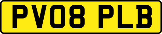 PV08PLB