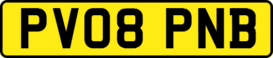 PV08PNB