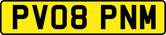 PV08PNM