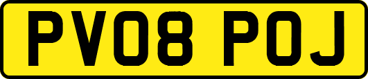 PV08POJ