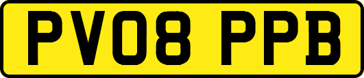 PV08PPB