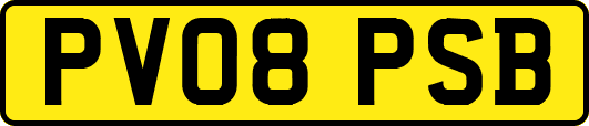 PV08PSB