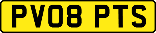 PV08PTS