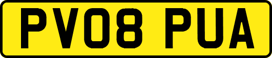 PV08PUA