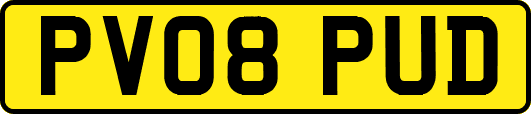 PV08PUD