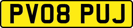 PV08PUJ