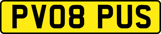 PV08PUS