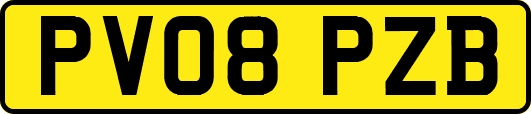 PV08PZB