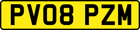 PV08PZM