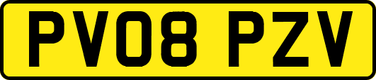 PV08PZV