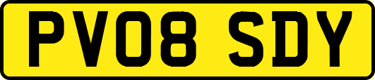 PV08SDY