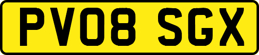 PV08SGX
