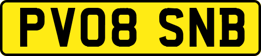 PV08SNB