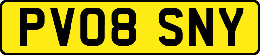 PV08SNY