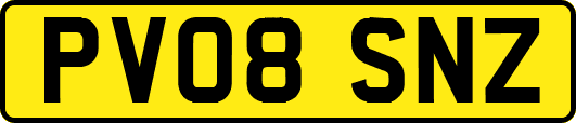PV08SNZ