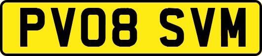 PV08SVM