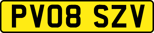 PV08SZV