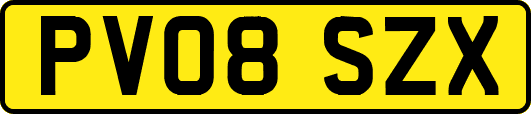 PV08SZX