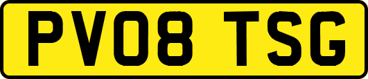 PV08TSG