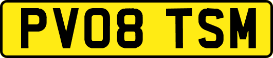 PV08TSM