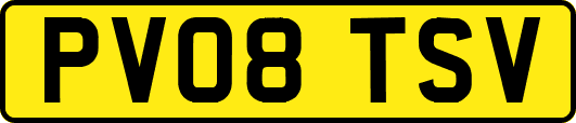 PV08TSV