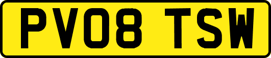 PV08TSW
