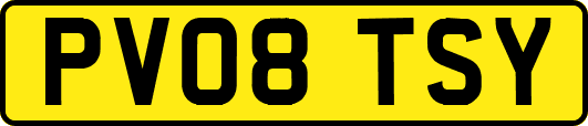 PV08TSY