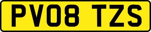 PV08TZS