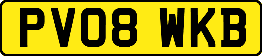 PV08WKB