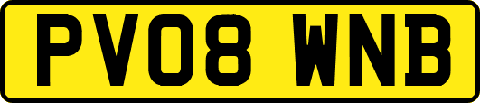 PV08WNB