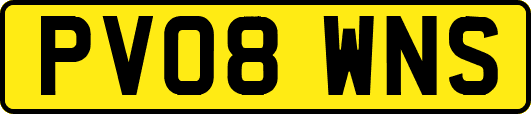 PV08WNS