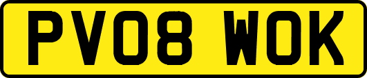 PV08WOK