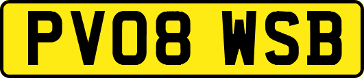 PV08WSB