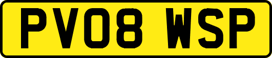 PV08WSP