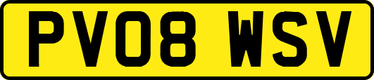 PV08WSV